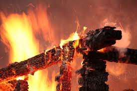 Во время пожаров едва не сгорели три жителя Запорожской области