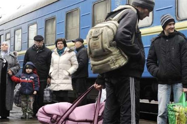 В Запорожской области каждые сутки становится на 100 беженцев больше