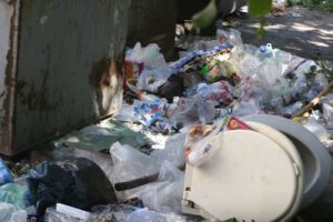 Запорожские коммунальщики снова закрыли глаза на мусор во дворах