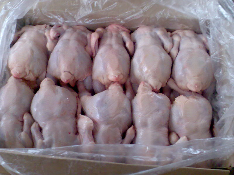 ГПУ: на рынок Украины попало 128 тонн зараженной сальмонеллёзом курятины
