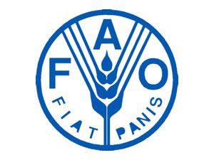 ФАО выделит миллион долларов помощи фермерам Востока Украины