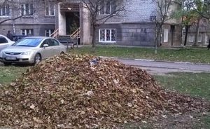 Прошлогодняя листва останется лежать в Запорожье до Пасхи
