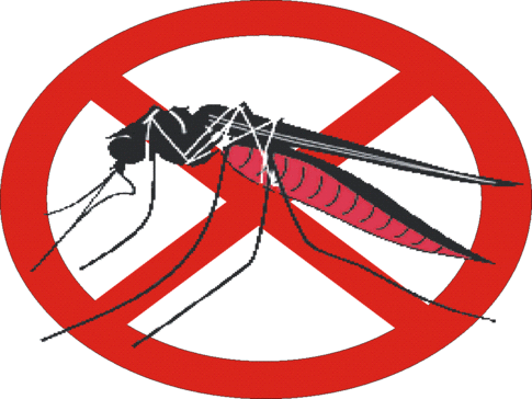 Запорожцев просят остерегаться комариных укусов