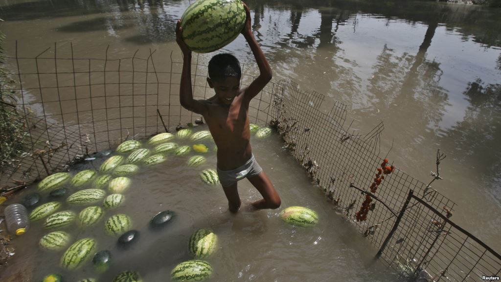 В Индии от жары погибло более двух тысяч человек