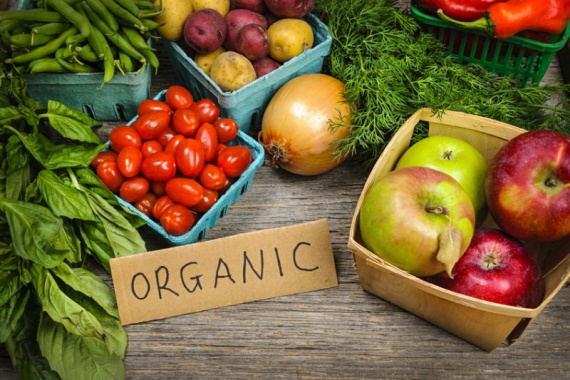 Запорожцев научат выращивать и продавать органическую еду