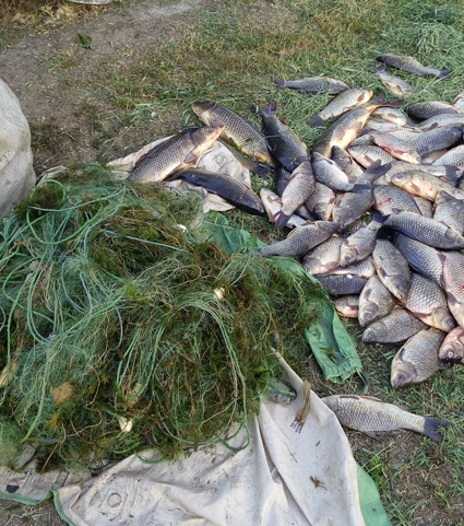 Рыбоохрана Запорожья поймала браконьеров с серьезным уловом