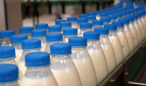 Украинскую молочную продукцию будут поставлять в Казахстан