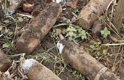 В Михайловском районе нашли боеприпасы Второй мировой войны