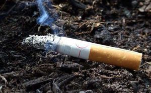 В Запорожской области коммунальщики будут штрафовать за курение