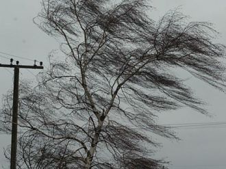 Над Украиной пронесся ураган, ветер сносил крыши и обрывал провода