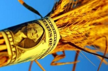 Мошенник продал несуществующее зерно на 120 млн грн