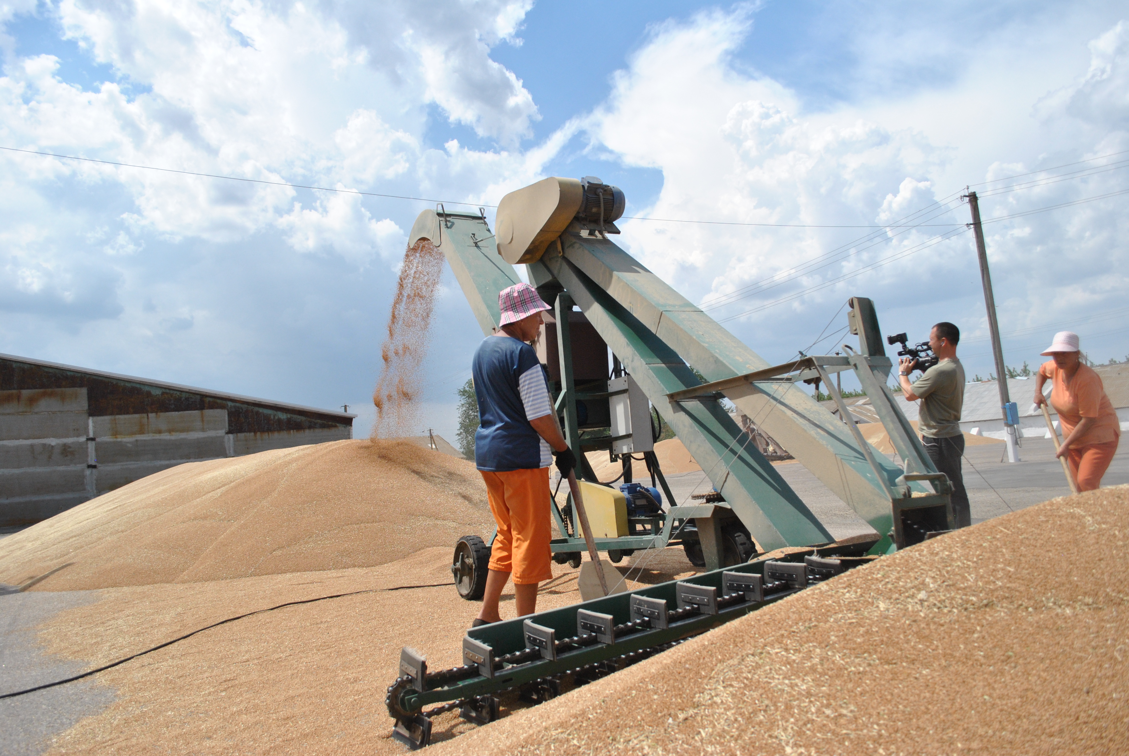 Цифра дня: 2 млн 603 тыс тонн зерновых собрали запорожские аграрии