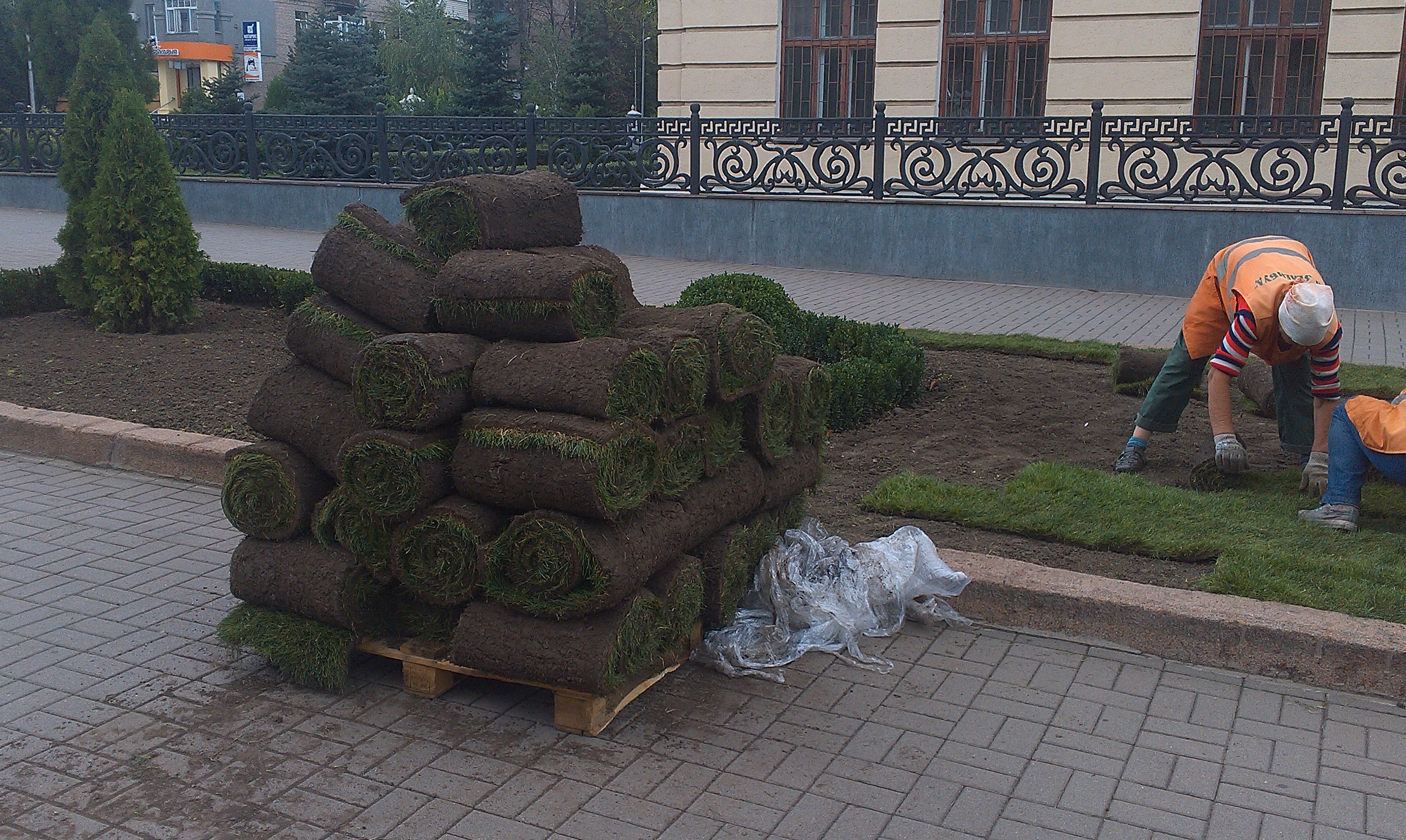 На площади перед запорожской мэрией высаживают днепропетровскую траву