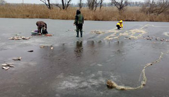 Запорожским рыбакам запретят рыбачить на зимовальных ямах