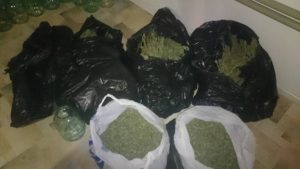 Запорожец хранил дома 10 кг марихуаны