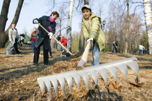 Запорожцев зовут в «Дубовку» убирать листья