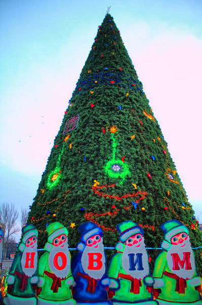 Запорожцев приглашают на открытие главной новогодней елки