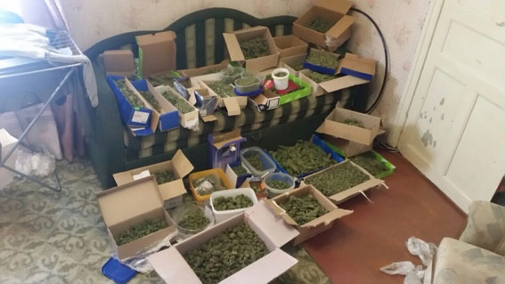 Житель Запорожья хранил дома 8 кг марихуаны