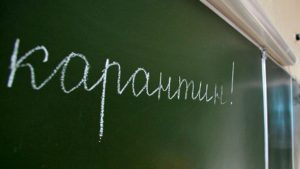 В Запорожской области на карантин закрыты 295 учебных заведений