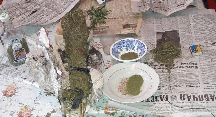 Двое жителей Бердянска вырастили марихуаны на полмиллиона гривен