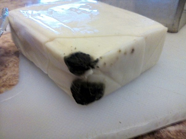 По следам хлеба с тараканом: В запорожском супермаркете продают плавленный сыр с плесенью