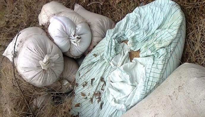 Невозможное возможно: В Мелитополе мужчина украл две тонны зерна – сам и без машины