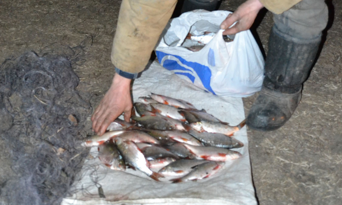 Тысячи гривен ущерба, сотни килограммов рыбы и столько же сетей – браконьеры «забили» на нерест