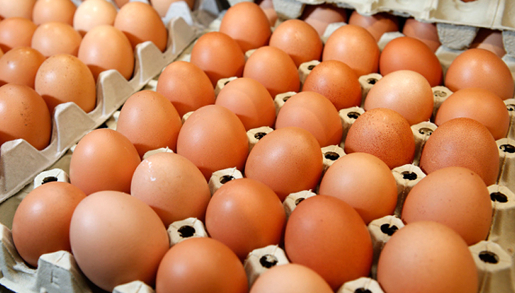 Житель Энергодара купил несуществующие куриные яйца за 15 тысяч гривен