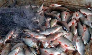 На Каховском водохранилище задержаны браконьеры