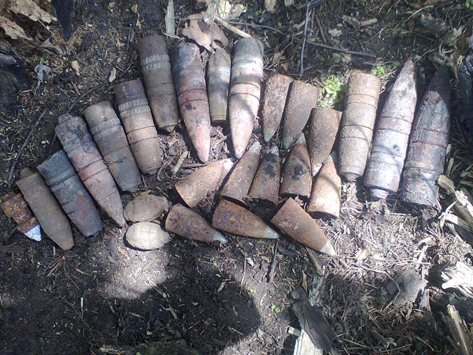 В Запорожской области пиротехники ликвидировали гранаты и артснаряды