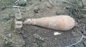 Во время полевых работ жители запорожского села обнаружили несколько мин и гранат