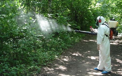 В Бердянске с комарами будут бороться с помощью 230 тысяч гривен