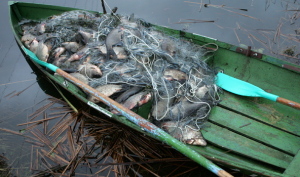 В Запорожской области задержали браконьера, рыбачившего сетью
