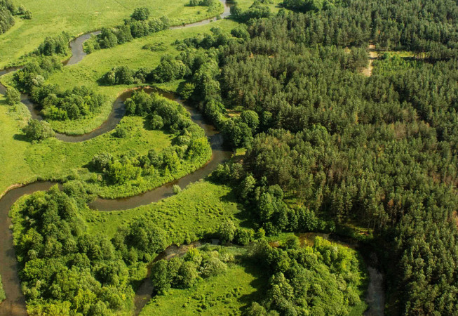 Мелитопольский лесхоз обвинили в незаконной обработке земли
