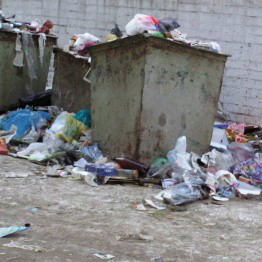 В августе «Умвельт» получил 600 тысяч гривен за вывоз мусора, про который забыл