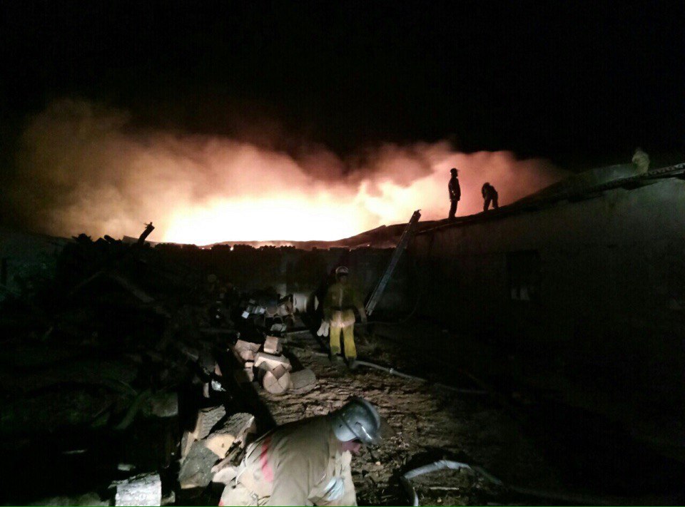 В Запорожской области произошел масштабный пожар на складе - ФОТО