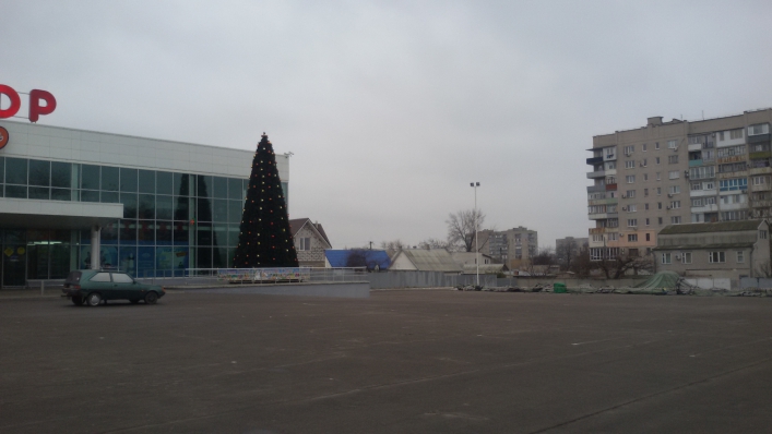 В Запорожской области установили первую елку - ФОТО