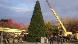 На площади Маяковского монтируют еще одну новогоднюю елку - ФОТО