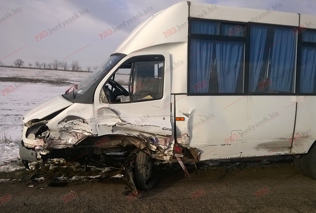 В Запорожской области пьяный водитель легковушки протаранил автобус - ФОТО