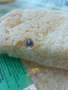 Житель Запорожской области купил в супермаркете хлеб с тараканом - ФОТО