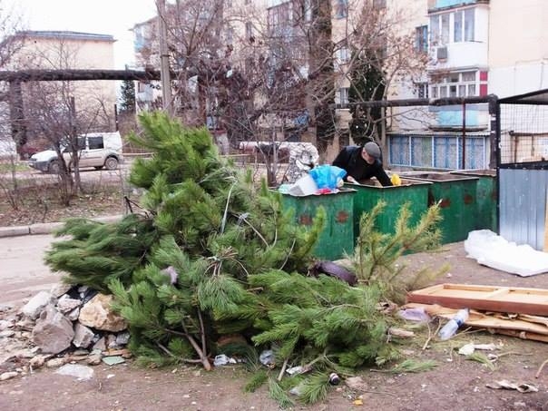 В Запорожье утилизируют новогодние елки