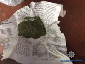 Полиция обнаружила в квартире у запорожца марихуану - ФОТО