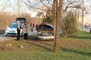 В Запорожье легковой автомобиль врезался в дерево - ФОТО