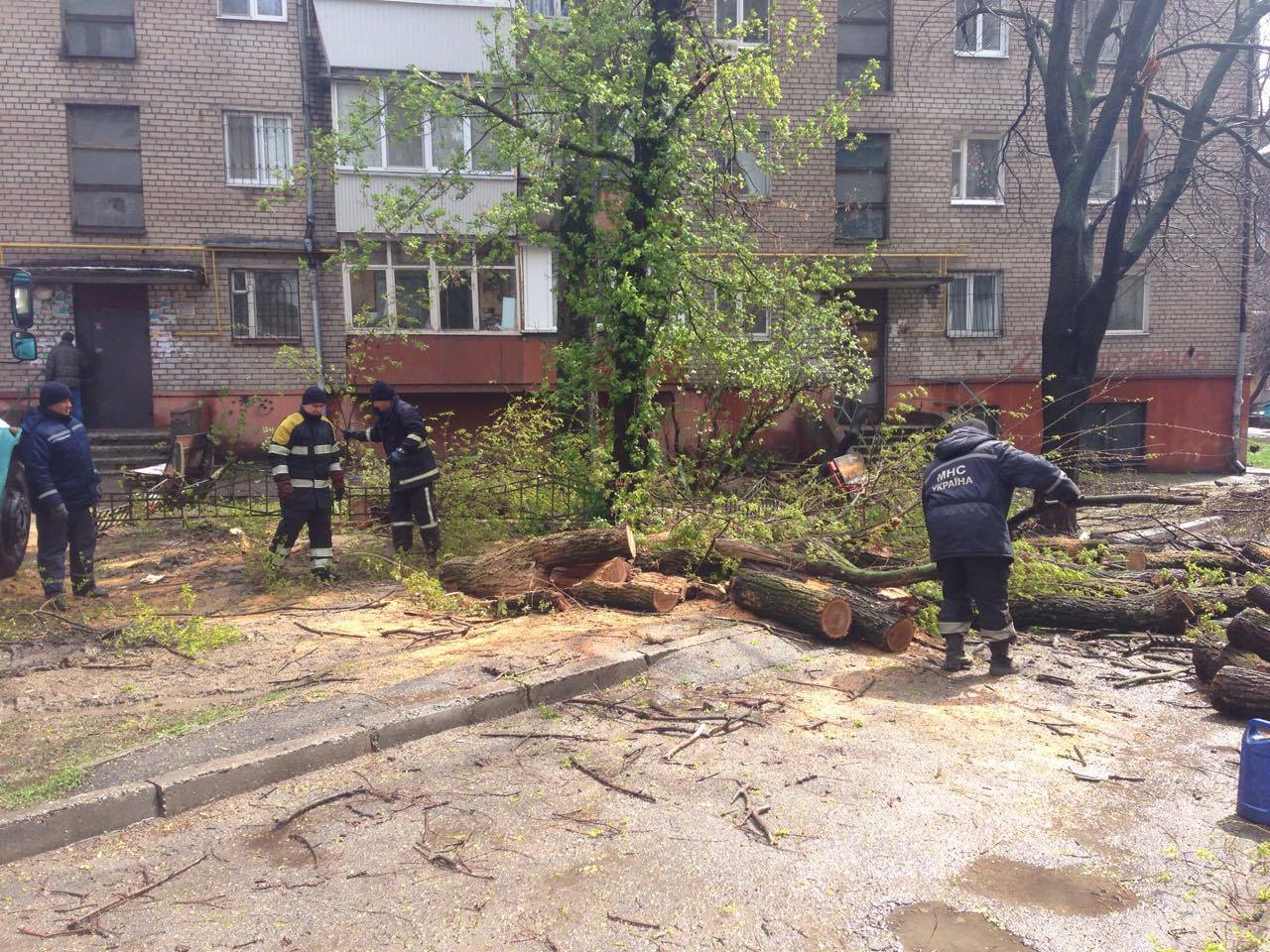 Запорожские спасатели уже убрали 30 упавших деревьев - ФОТО