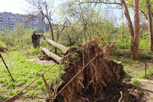 В Запорожье все еще продолжают ликвидировать последствия стихии - ФОТО