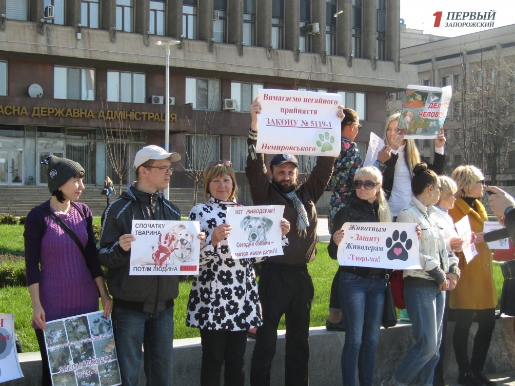 В Запорожье прошел митинг против жестокого обращения с животными - ФОТО, ВИДЕО