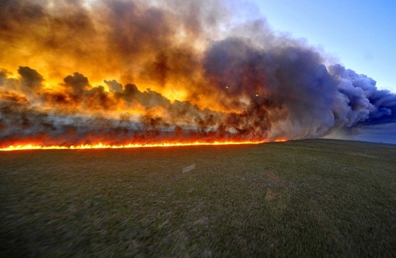 За один день спасатели ликвидировали 11 пожаров в экосистемах Запорожской области