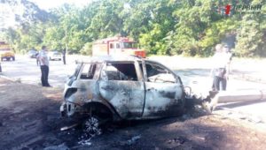 В Запорожье на Хортице иномарка сгорела вместе с водителем - ФОТО (18+)