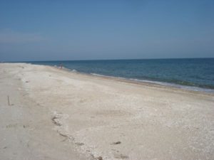Прокуратура требует вернуть земельные участки в прибрежной защитной полосе Азовского моря, которые были незаконно предоставлены в аренду