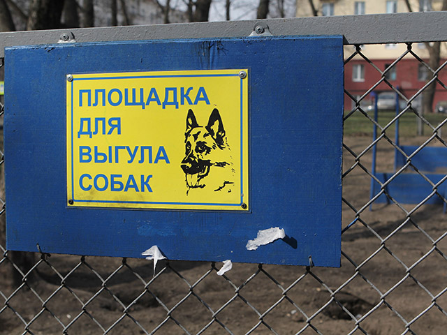В Запорожье предлагают построить закрытые площадки для выгула собак